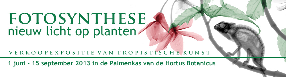 website banner
